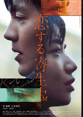 长安的荔枝